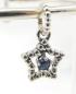 Preview: Star Light Dangle - The Palace of Amber